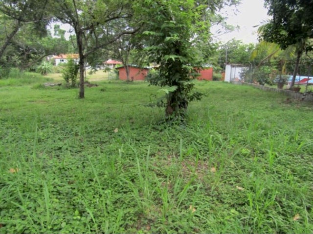 Convenient Residential Lot - Terreno en Gorgona